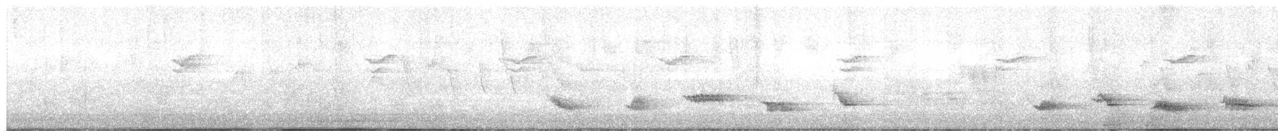 Creamy-bellied Thrush - ML645599697