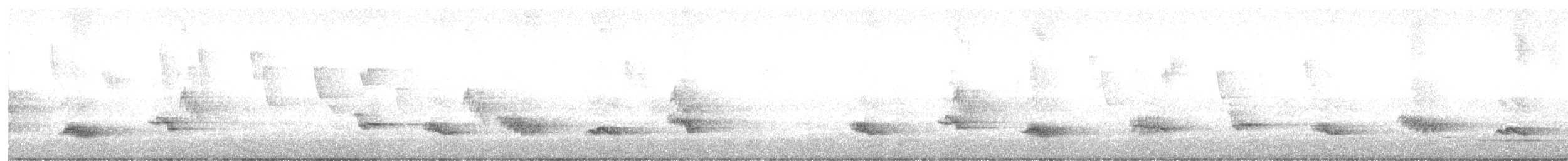 Creamy-bellied Thrush - ML645599698