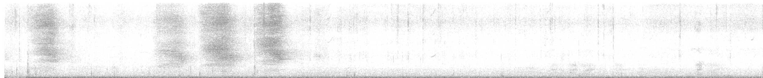 Steller's Jay - ML645599772