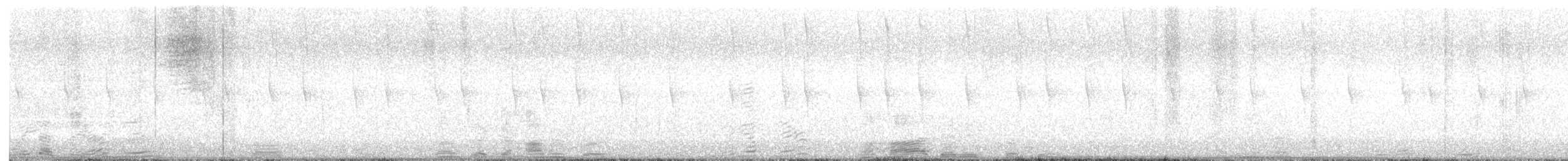 Rivoli's Hummingbird - ML645599804