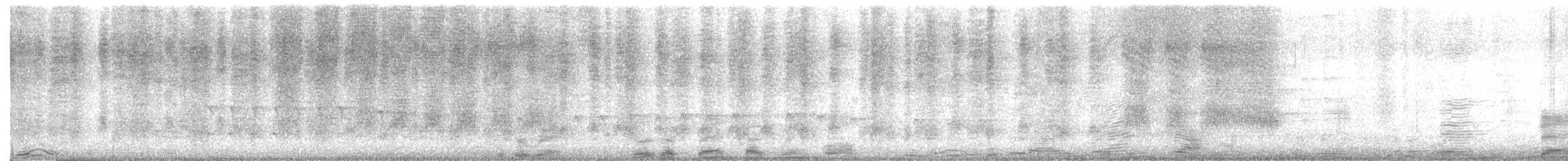 Band-backed Wren - ML645599857