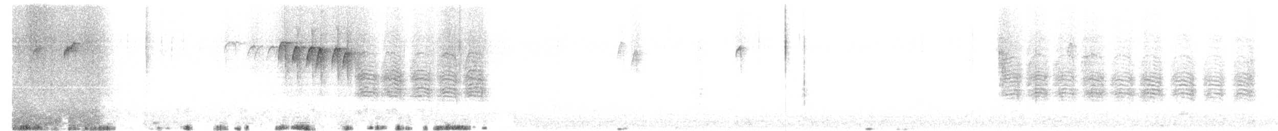 アメリカコガラ - ML645600024