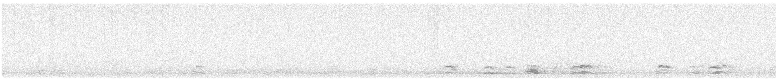 Snow Goose - ML645600365