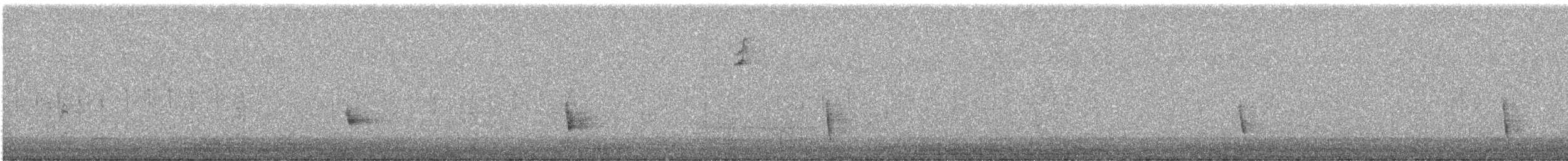 Hermit Thrush - ML645600385