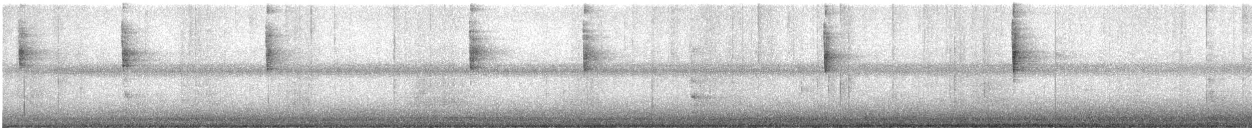 lesňáček hvězdičkový - ML645600598