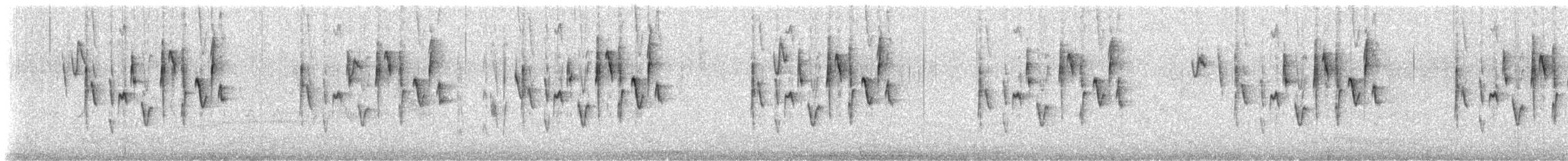 Giant Conebill - ML645601395