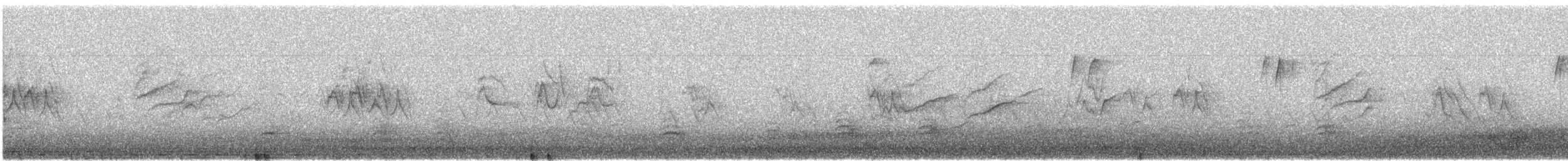 Pine Siskin - ML645601594