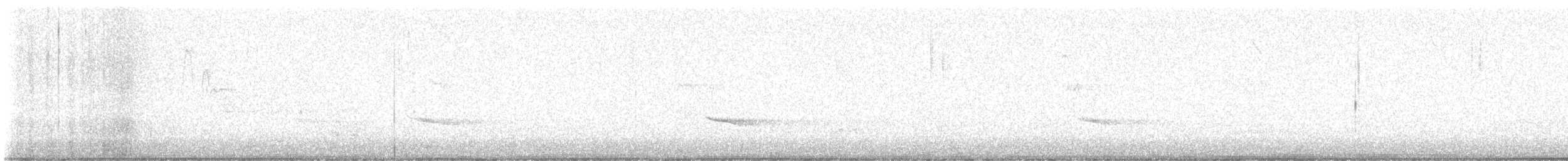 Hermit Thrush - ML645602840