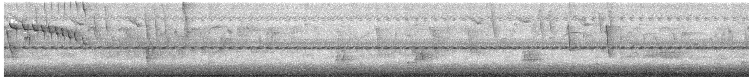 Crested Bobwhite - ML645603076