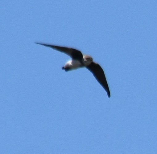 sandsvale - ML645603127