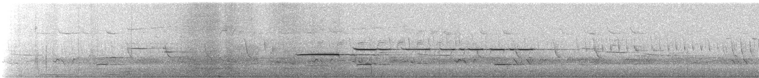 Chingolo Gorjiblanco - ML645604009