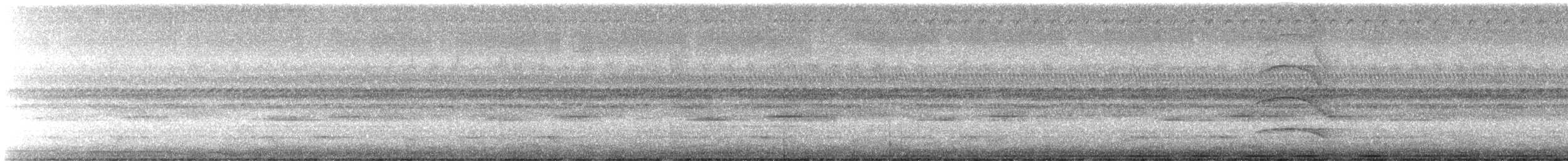 Búho Gritón - ML645604353