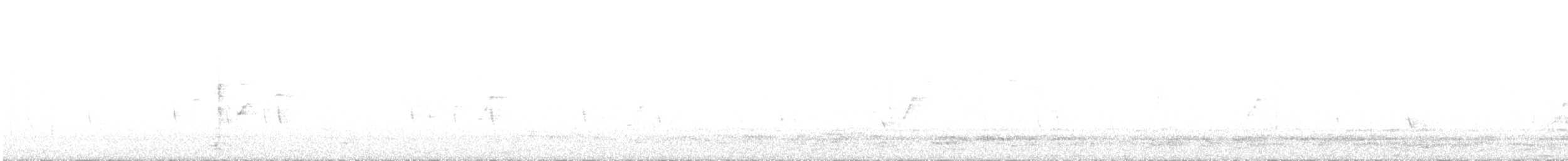 Curruca Rabilarga - ML645604522