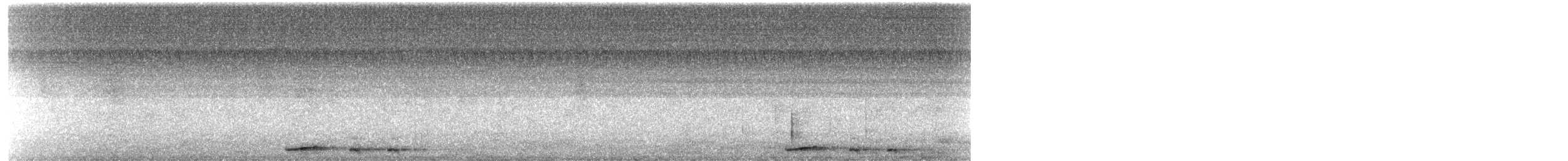 Paloma Oscura - ML645604581