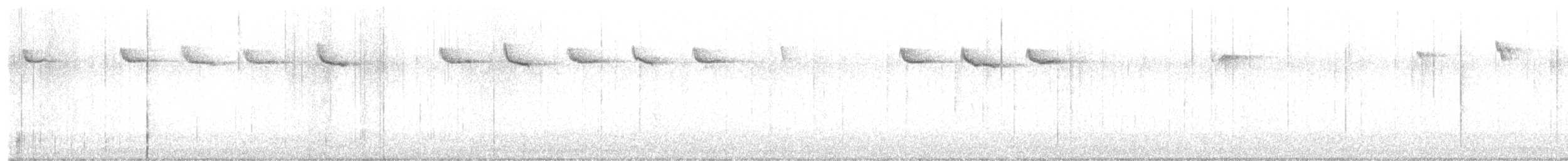 Agateador Americano - ML645604798