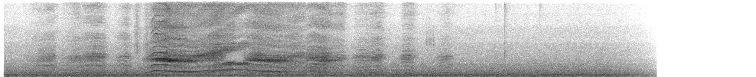 Gallito de las Rocas Peruano - ML645604967