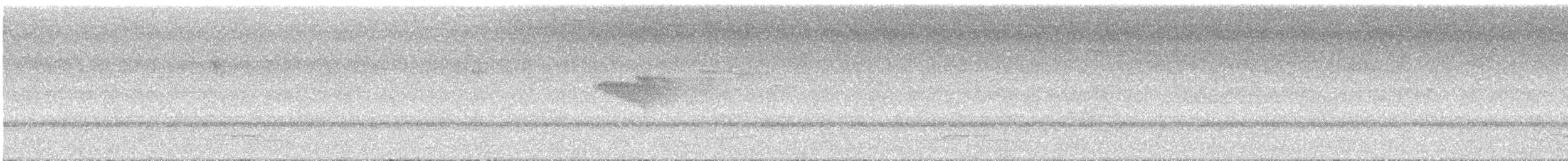 Saltarín Colilargo - ML645605042