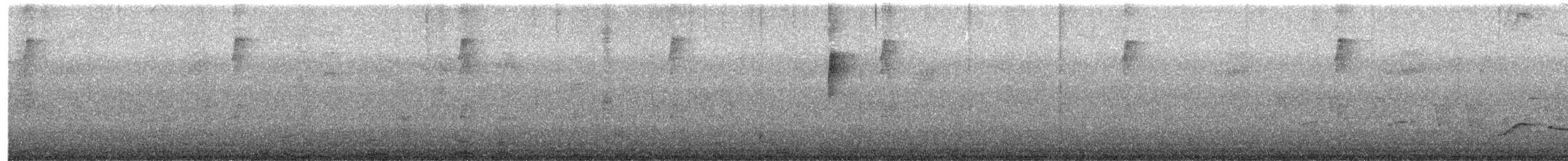 Pepitero Pizarroso - ML645605067