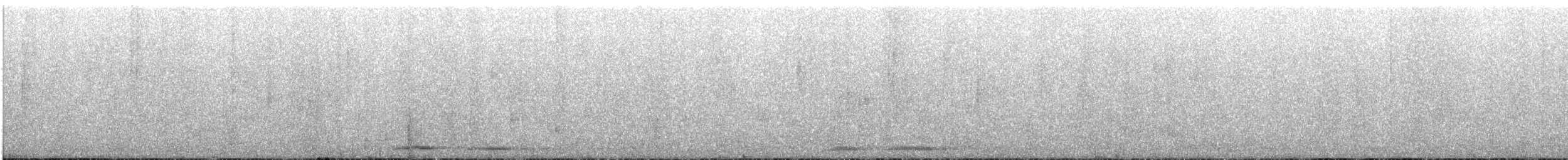 Nínox Maorí - ML645605084