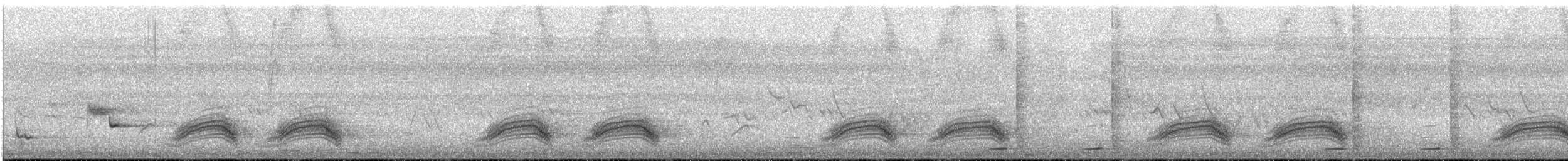 ザンジバルヤブモズ - ML645606741