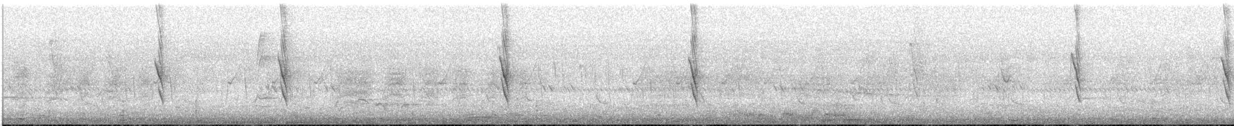 Amblyospize à front blanc - ML645606862