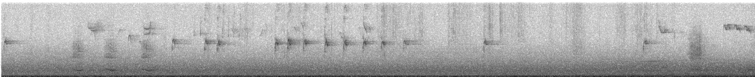 Common Raven - ML645607173