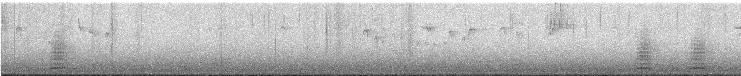 Common Raven - ML645607180