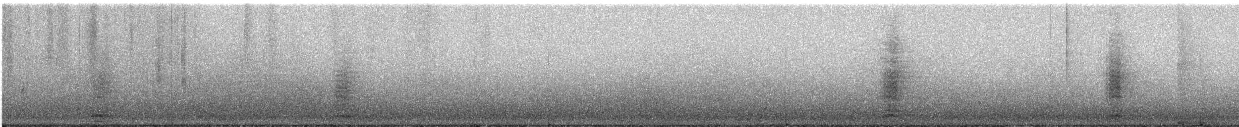 Common Raven - ML645607182