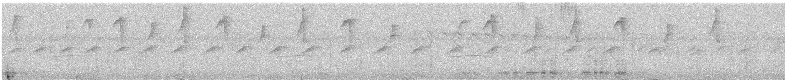 Gray-chinned Hermit - ML645607304