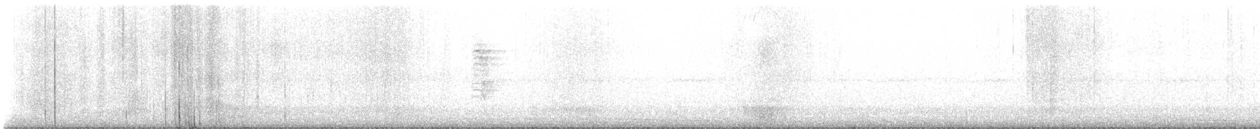 Magnolia Warbler - ML645607477