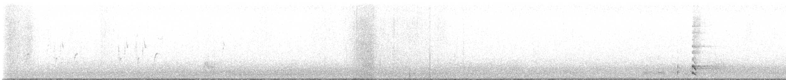 Eurasian Moorhen - ML645607619