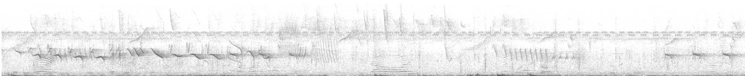 Chestnut-bellied Seed-Finch - ML645607905