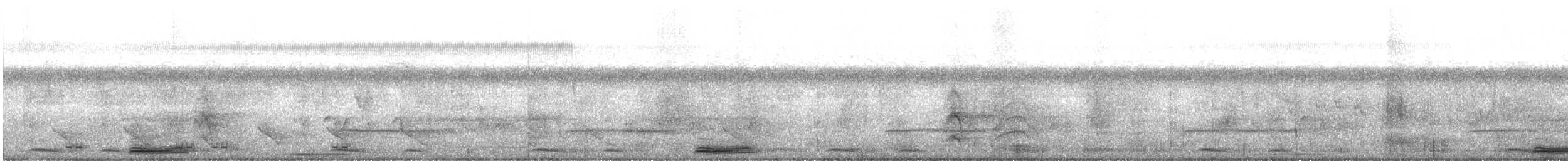 Turquoise-browed Motmot - ML645607981