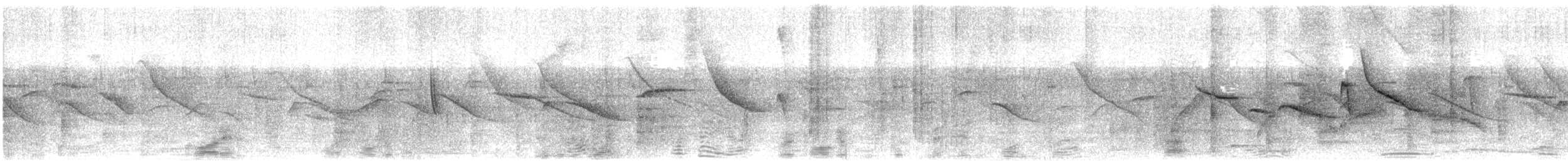 Rufous-collared Sparrow - ML645608143