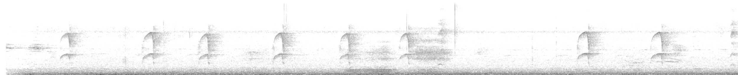 Rufous-tailed Jacamar - ML645610187