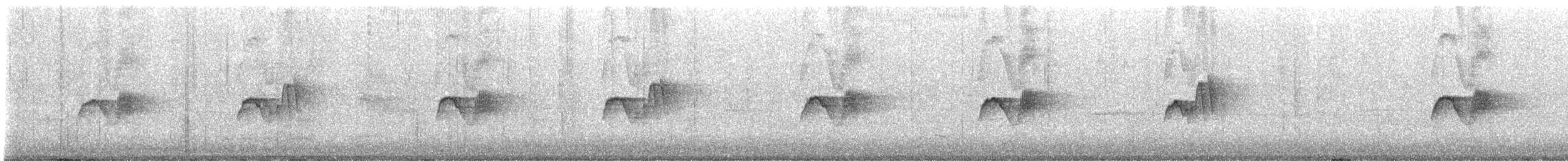 Weißbauch-Phoebetyrann - ML645610809