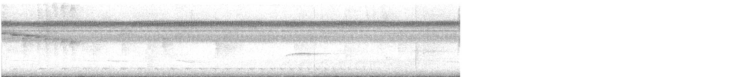 Weißbrust-Ameisenwürger - ML645610958