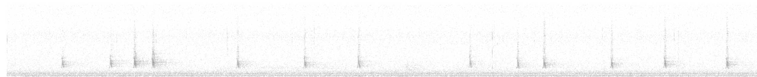 Einsiedler-Musendrossel - ML645611253