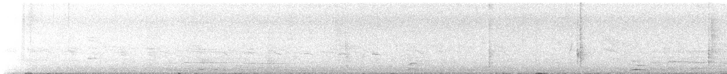 Antillengrackel - ML645611326