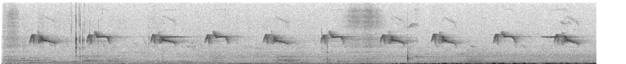 Schwarzkopf-Phoebetyrann - ML645611329