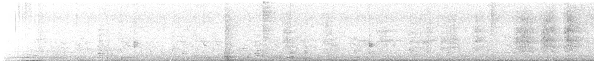 Mönchssittich - ML645611547