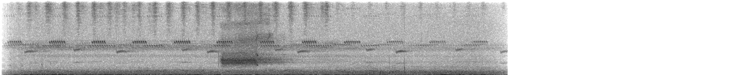 Amerikaschleiereule - ML645611622