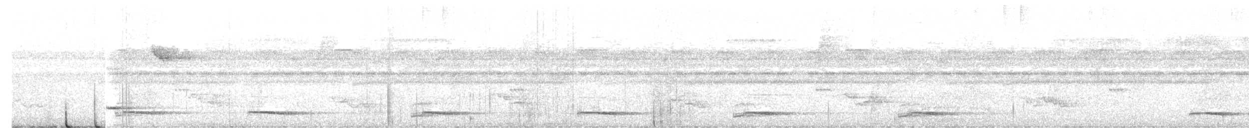 Marmorwachtel - ML645611722