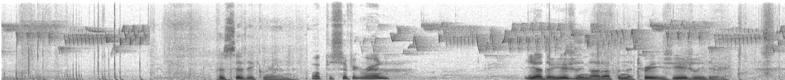 Pazifikzaunkönig - ML645612526