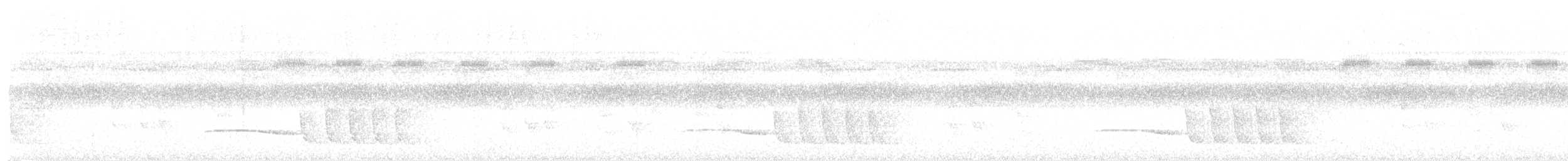 Coraya Wren - ML645612950