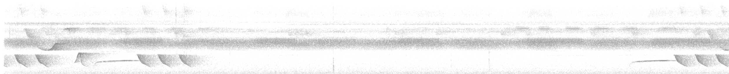 Coraya Wren - ML645612951