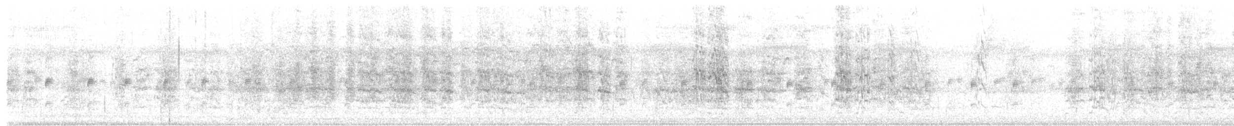 White-winged Parakeet - ML645612985