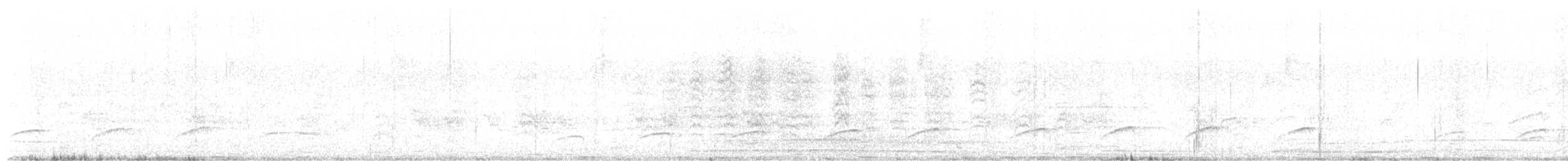 Dull-capped Attila - ML645613126