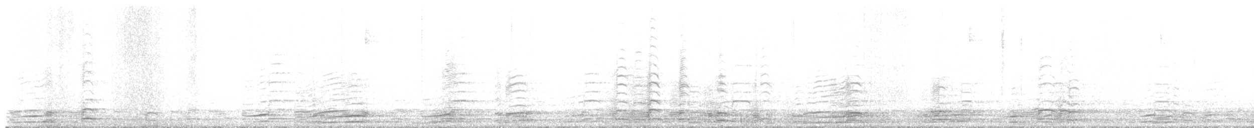 Oca canadese maggiore - ML645613979