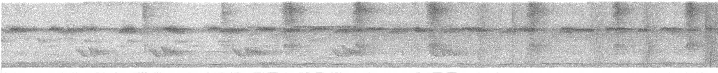 Guianan Tyrannulet - ML645614425